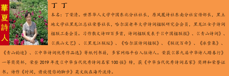 涓佷竵.png