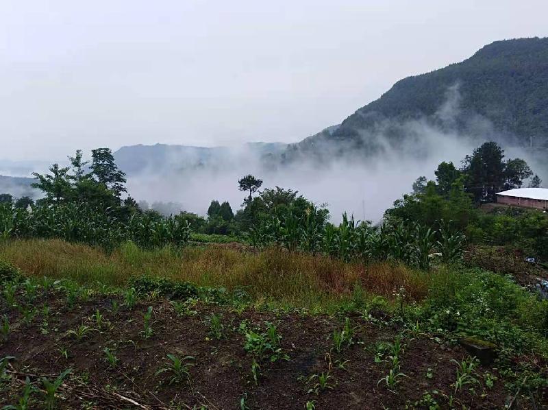 一路风景（回乡路上） 张怀成（图4）