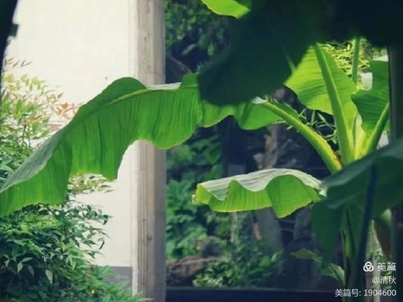 夜雨敲窗,诗友唱和(图13)