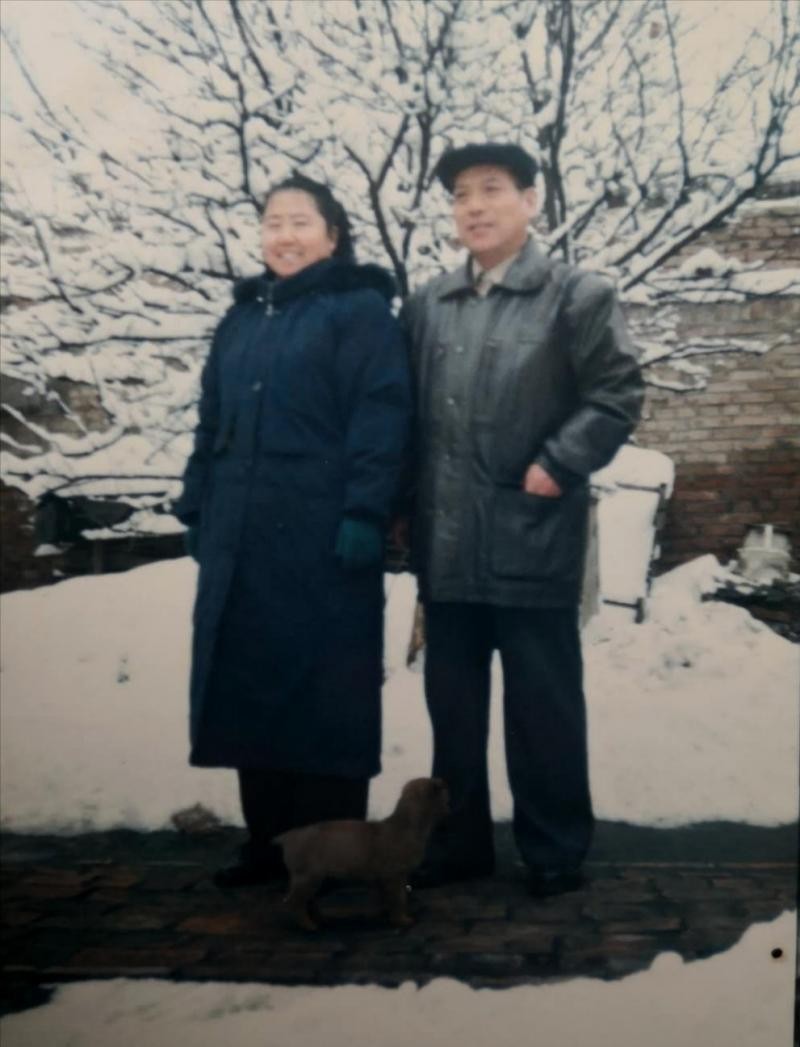 联机全球发布诗人窦从海精品诗歌(图3)