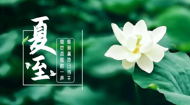 【潇湘文学社】潇湘陶菊诗社《夏至》（图8）
