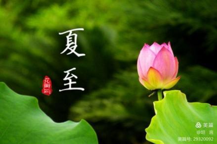 夏至唱和,如意吉祥!(图5)