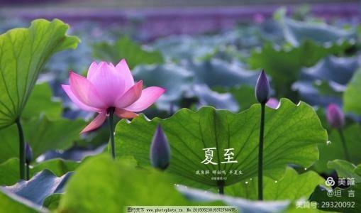 夏至唱和,如意吉祥!(图6)
