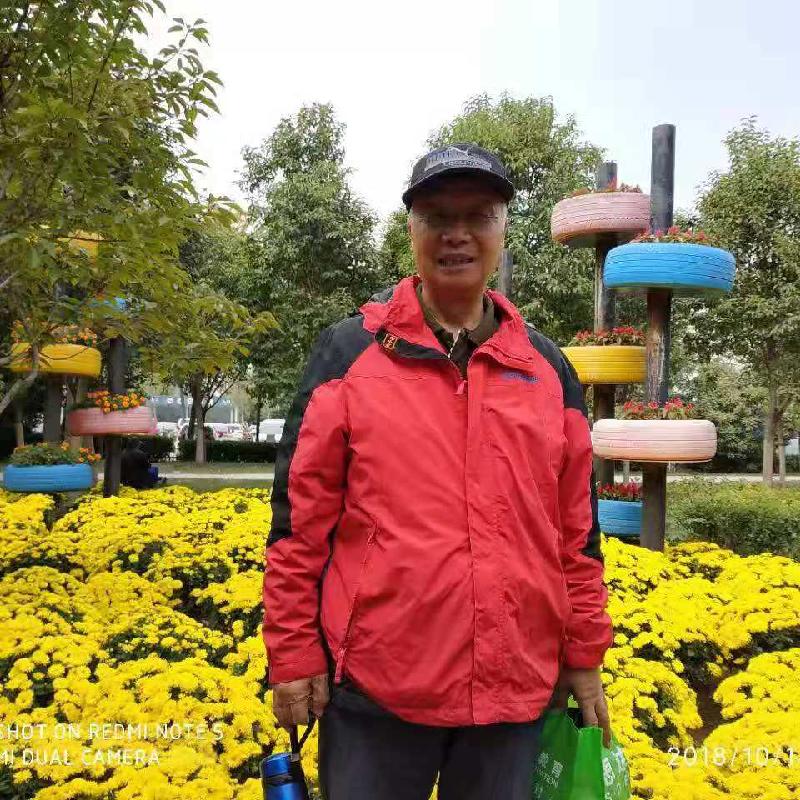 贺中国党史馆 春耕（图4）