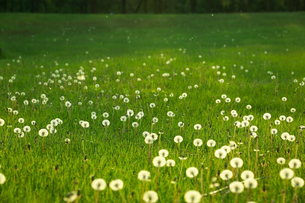 1624713847660033932.jpg src=http_%2F%2Fimg.pconline.com.cn%2Fimages%2Fupload%2Fupc%2Ftx%2Fphotoblog%2F1605%2F25%2Fc10%2F21970854_1464181049516.jpg&refer=http_%2F%2Fimg.pconline.com.jpg
