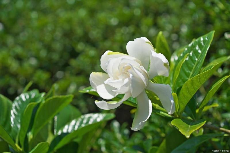 《江南诗絮海南天北》0018(图13)