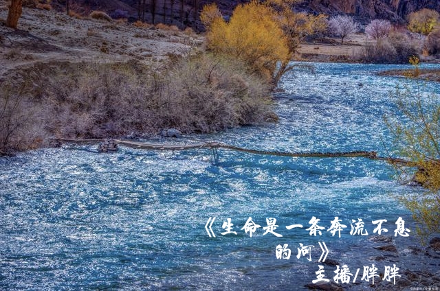 《生命是一条奔流不息的河》 主播/胖胖
