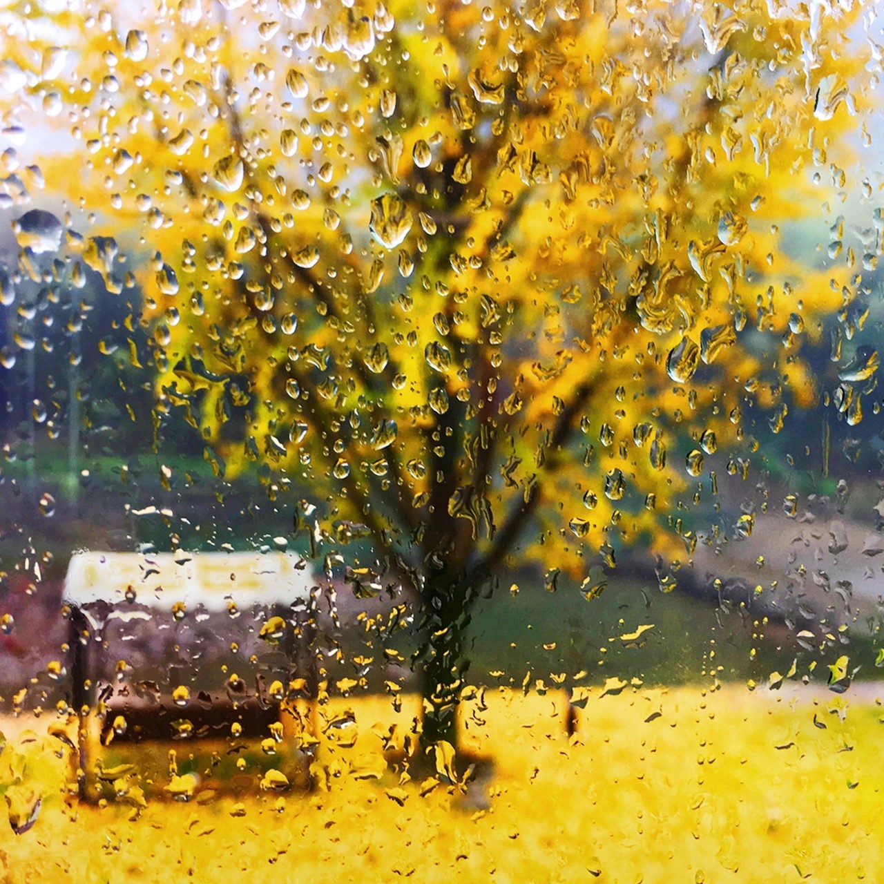 诗城词都：七绝·秋雨功罪（四首）// 王建群（山东济南）（图2）