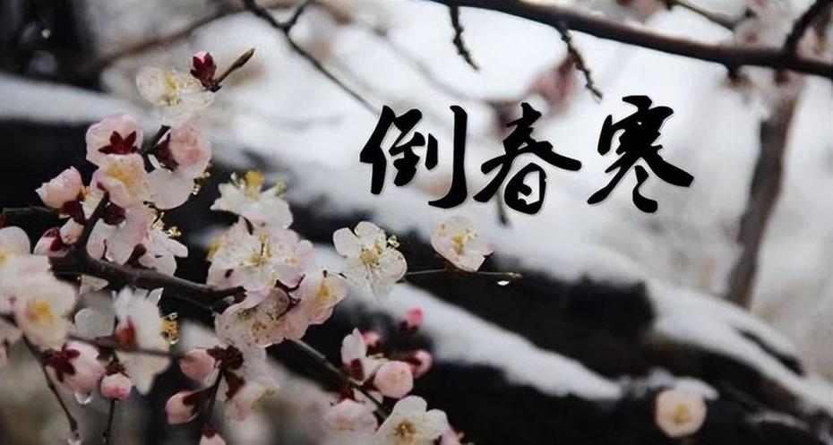 同题诵《倒春寒》作者：任学路（图7）