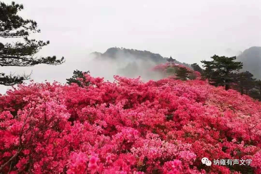 寰俊鍥剧墖_20210705174152.jpg