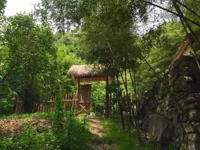 联机全球发布诗人赵平精品诗歌(图3)