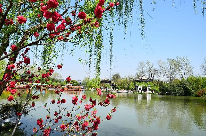 徐强〔山东〕七绝十首【冰心文化传媒】（图8）