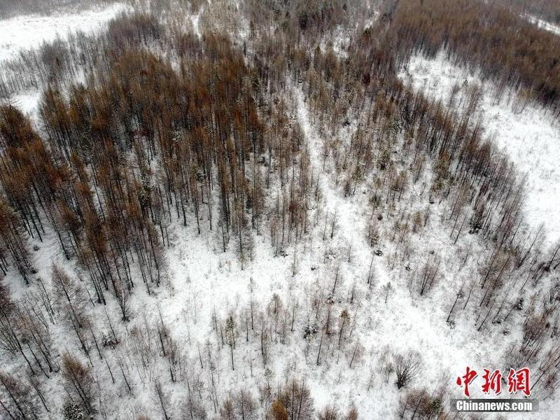 岁寒君子（之一）沁园春 原松 文／江冲（图15）