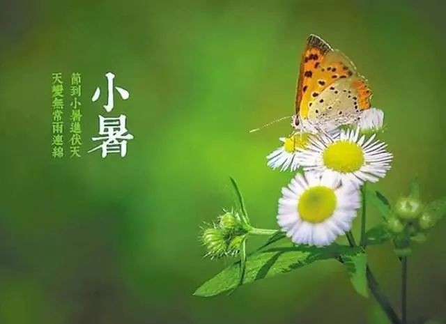 【枫雅汇看图约诗】诗人李平忠专辑《五》（图4）