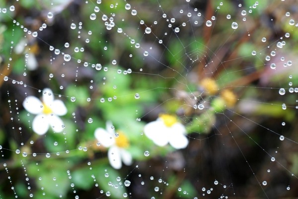 小雨文／陈铠 黑龙江【冰心文化传媒】（图3）