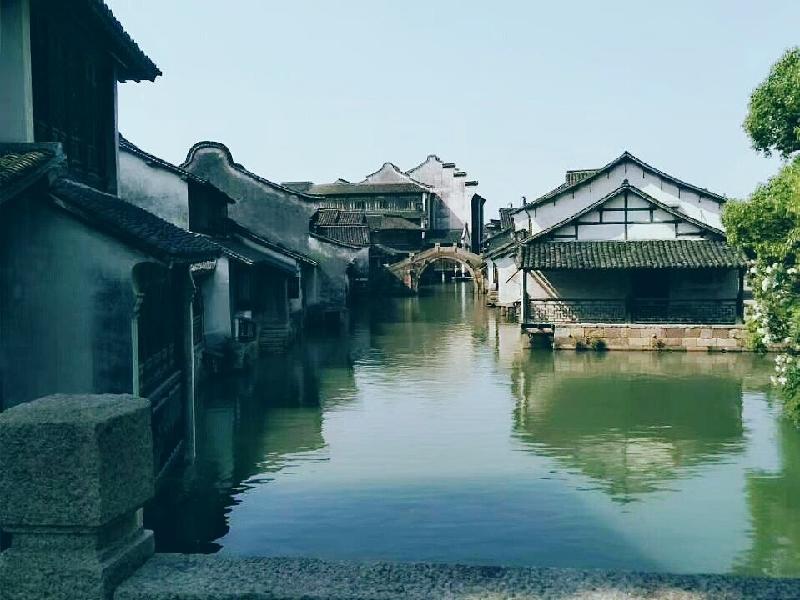 鹧鸪天.拼词牌（词林正韵）（外两首）文/王仲飞〔北京〕【冰心文化传媒】（图4）