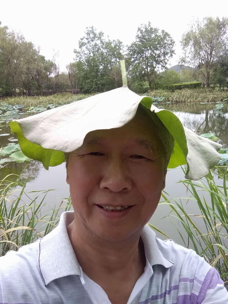 荷叶搭凉棚，诗友唱和呈！（图4）