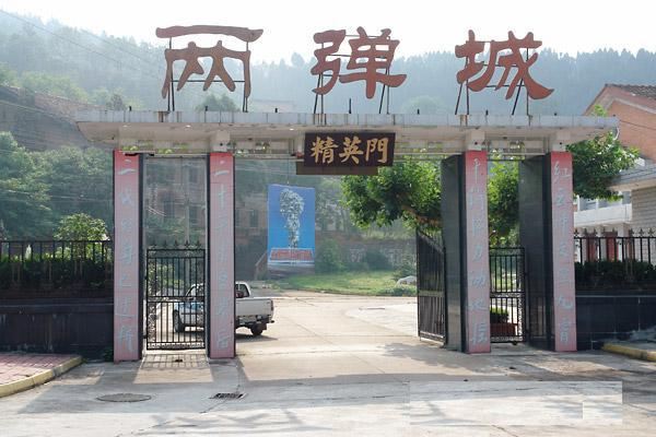 宁继明长篇《马兰魂》第二部(49)