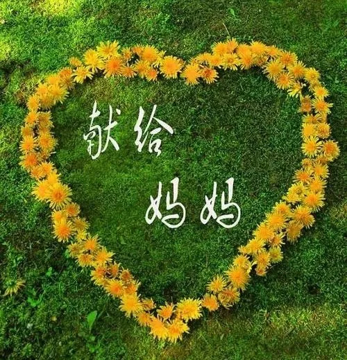 马永新〔美国〕诗歌专辑【冰心文化传媒】制作 冰心〔中国〕(图22)