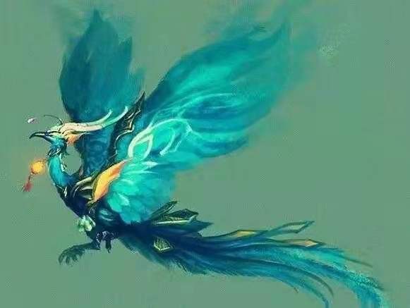 青鸟,是一种传说的神鸟