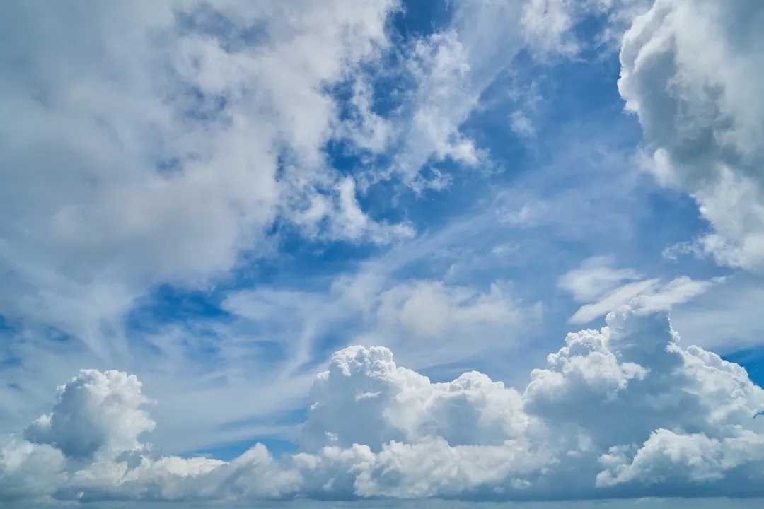 1626687210760078959.jpg 640.webp (16).jpg