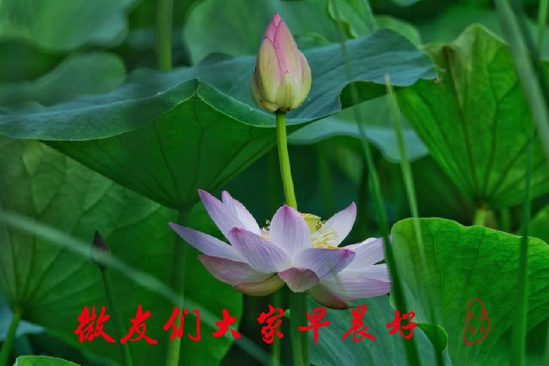 闲人玩墨摄影作品欣赏（图4）
