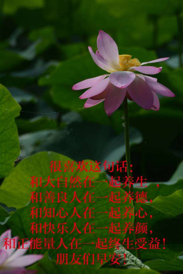 闲人玩墨摄影作品欣赏（图6）