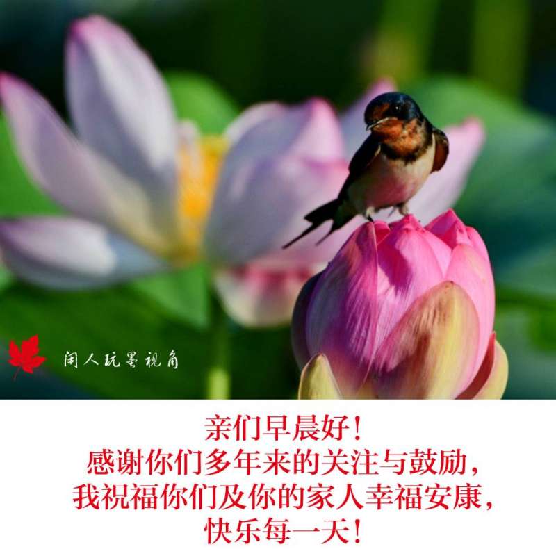 闲人玩墨摄影作品欣赏（图7）