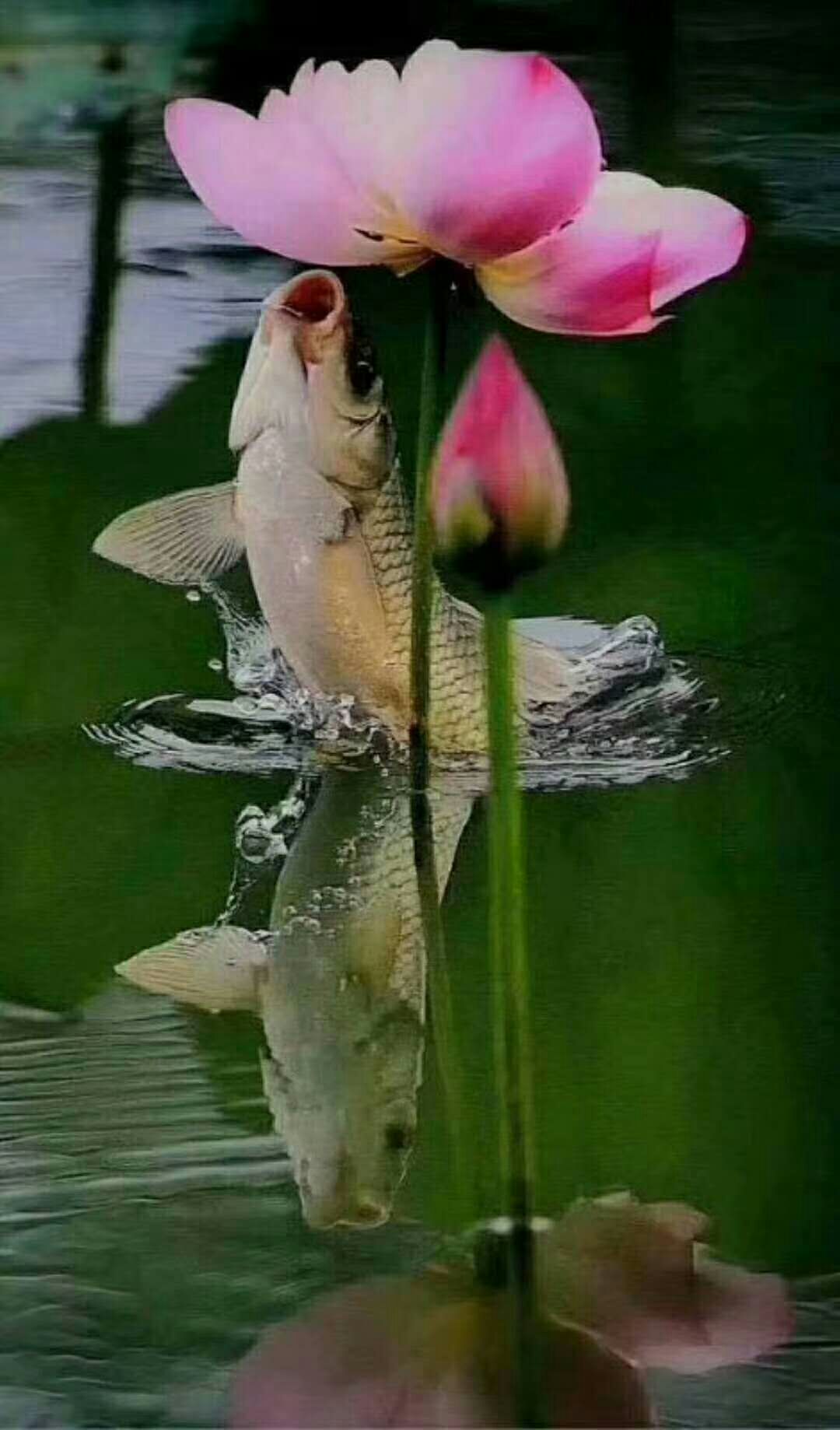 1626917727339039807.jpg 13271388569908400.jpg