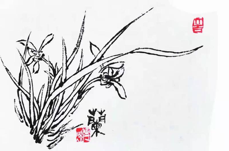 长绳与红日同在——答谢蔡雨芳华 远山呼唤并锦州八仙 作者:李传煜 主播:远山呼唤 京津沪头条(图3)