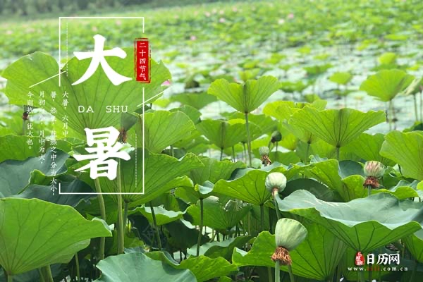 大暑 ｜ 曹梦林