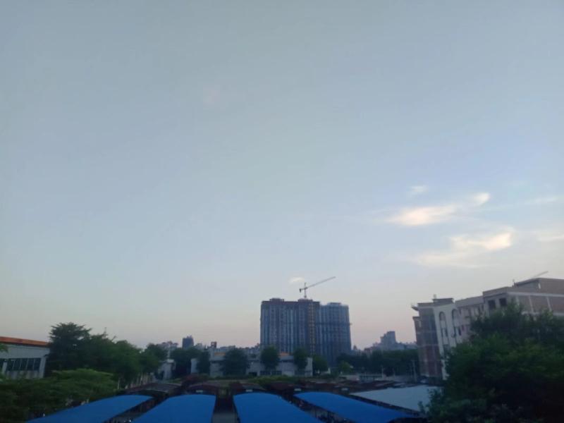 挂满枝头的龙眼果《外一首》文/一笑〔广西〕【冰心文化传媒】(图4)