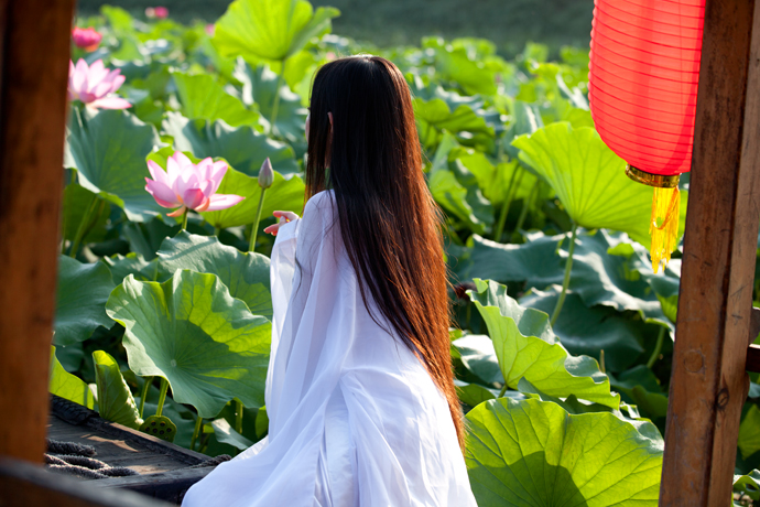韩满林老师佳篇推荐 虞美人 情忆 金牌主播 飘雨 春