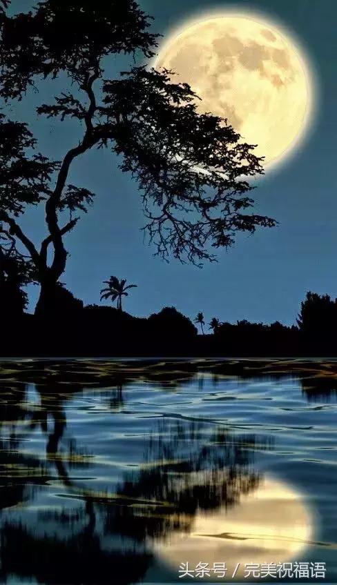 塞北风光‖作者/李玉莲