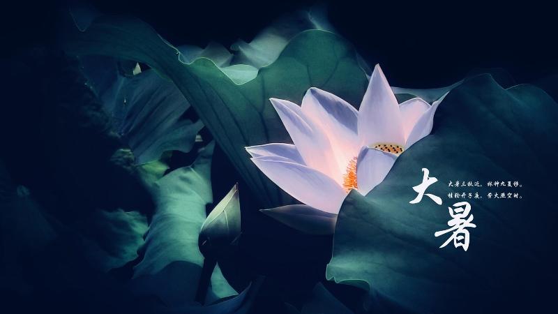 大暑 文/周海峰〔哈尔滨〕【冰心文化传媒】（图3）