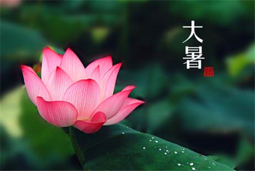 荐赏 【神州源流诗苑】总第429期【优秀近体诗】周刊(图4)