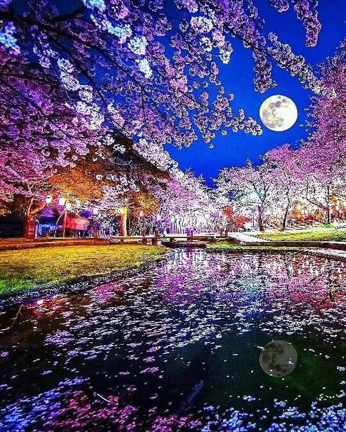 程东传近体诗专辑文:程传东(图2)