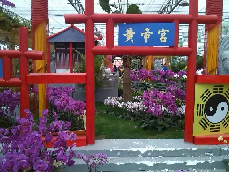 绿城郑州，希望之城 原作/梁立锋（图8）