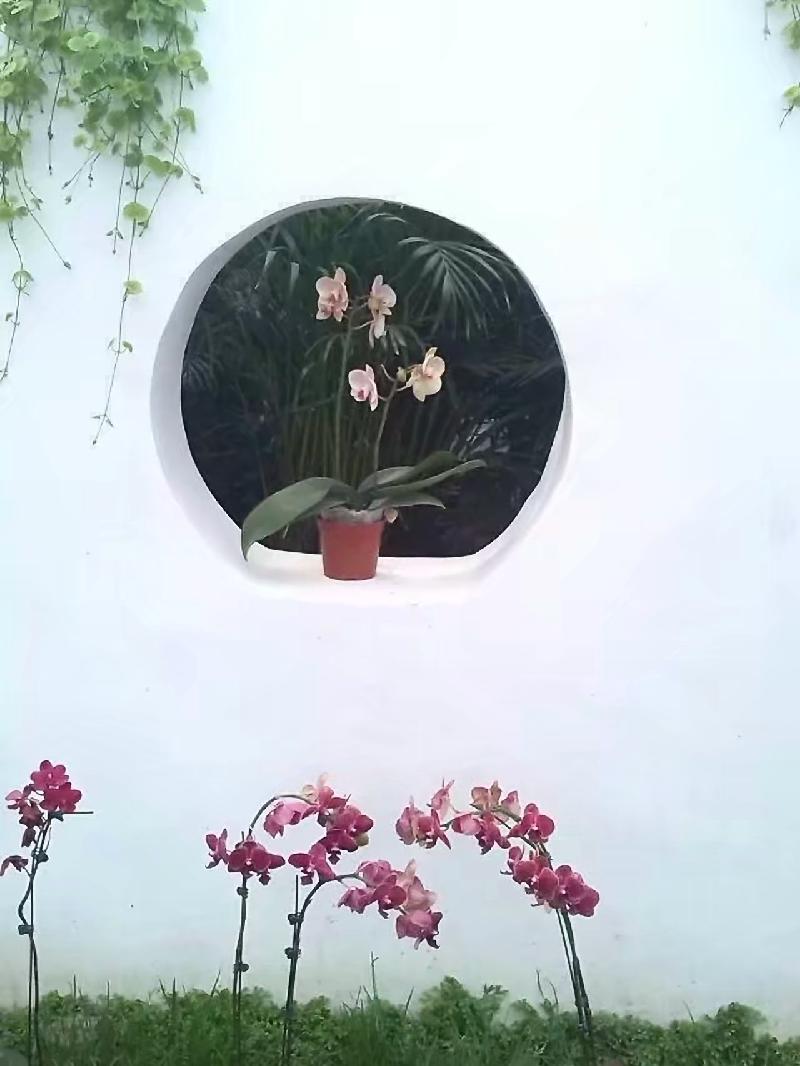 绿城郑州，希望之城 原作/梁立锋（图3）