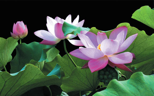 《献给岁月与山河》尘缘(图10)