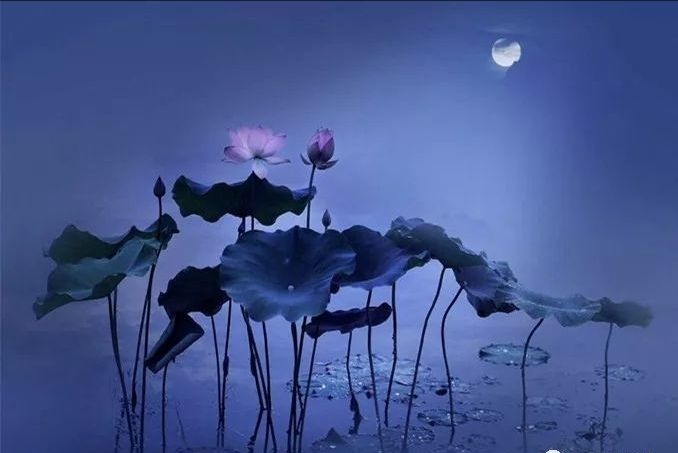 【茶韵文学诗社】2021—113《今夜我在...》作者暖心 朗诵编辑制作刘林丽(图3)