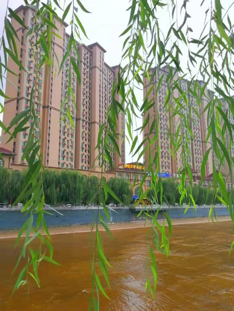 观图有感｜文／王进魁，图／高永锋