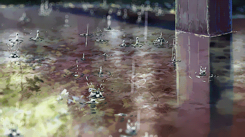 《雨中即景》作者/主播/宏红 编辑/胡琴