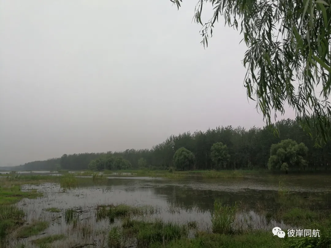彼岸同航〔湖北〕夏天组诗【冰心文化传媒】(图13)