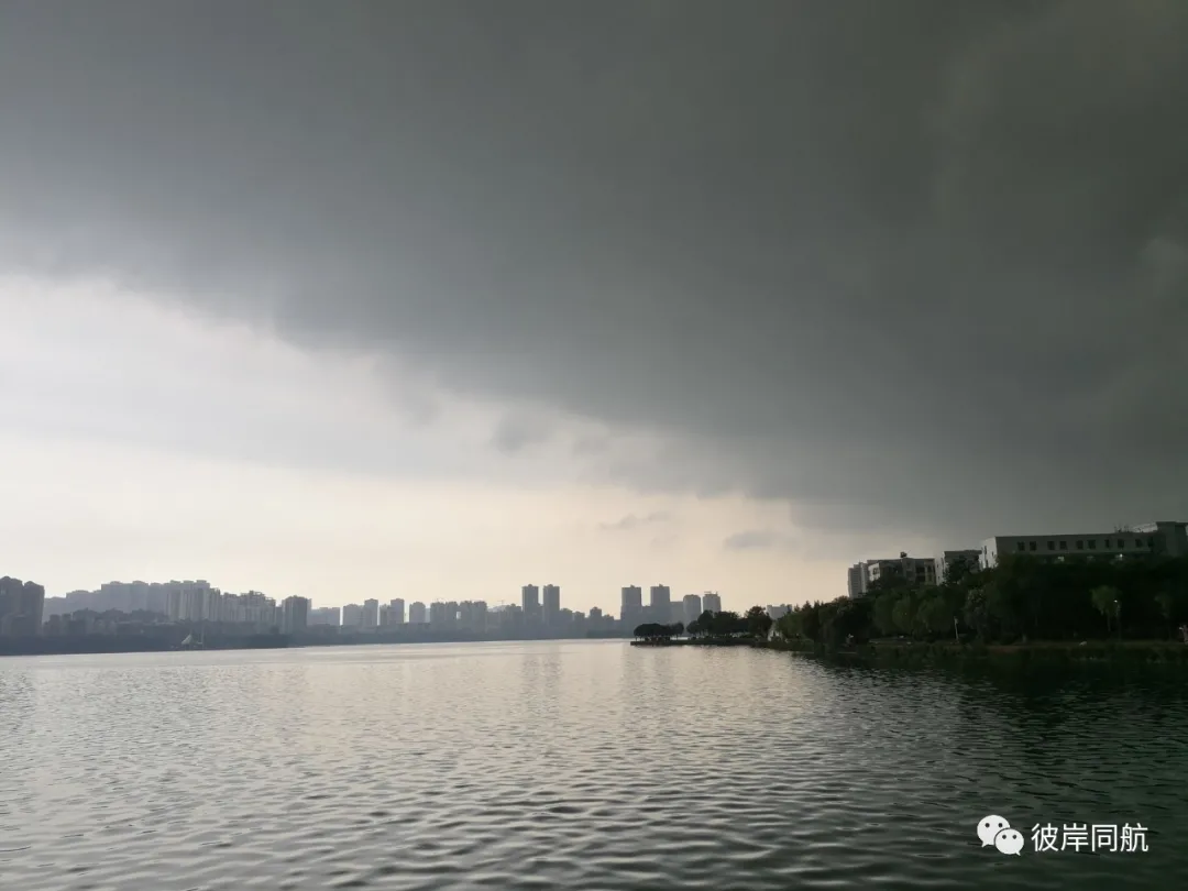 彼岸同航〔湖北〕夏天组诗【冰心文化传媒】(图12)