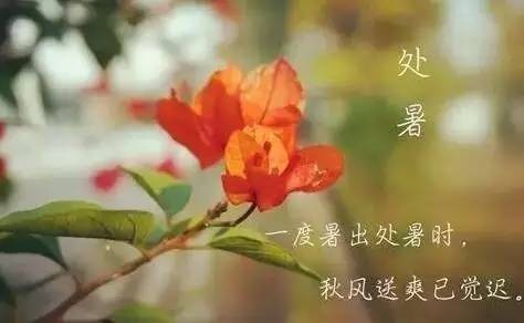 【潇湘文学社】潇湘陶菊诗社《暑》(图15)