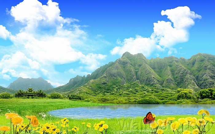 【潇湘文学社】潇湘陶菊诗社《暑》(图6)