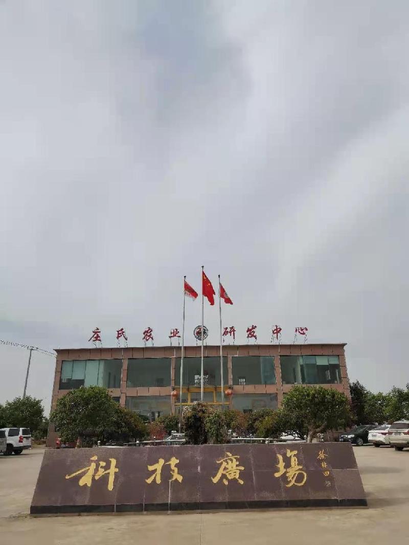 山东诗人王安国老师颂《庄氏农业科技园》佳作系列