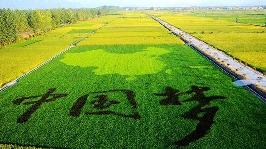 【组诗】万 丈 光 辉 作者‖严肃人 主播‖蝴蝶兰（图3）