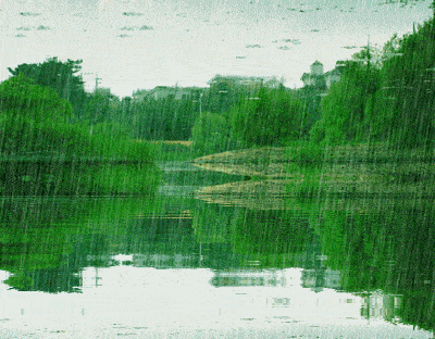 夏雨 作者：晓露 【冰心文化传媒】（图6）